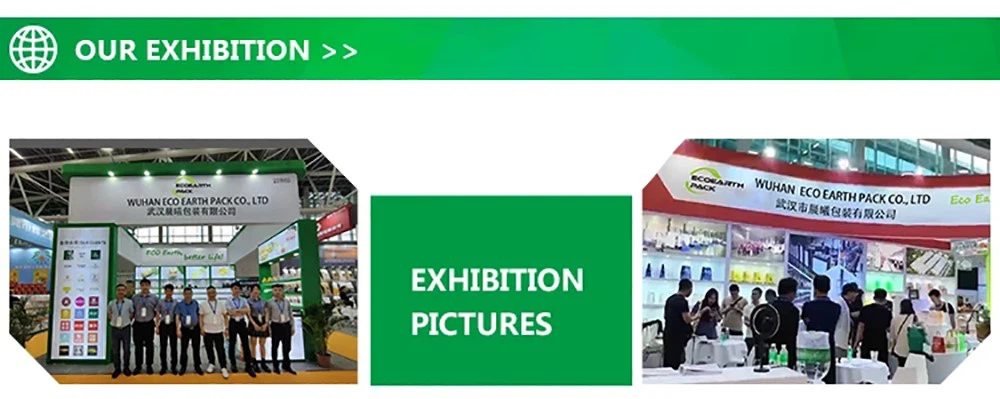 exbition of our team of biodegradable coffee cups with lids exbition of our team of biodegradable coffee cups with lids