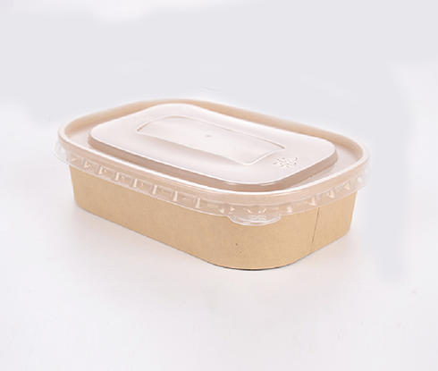 500 ml rectangualr bowl