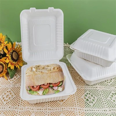 Bagasse kulit kerang